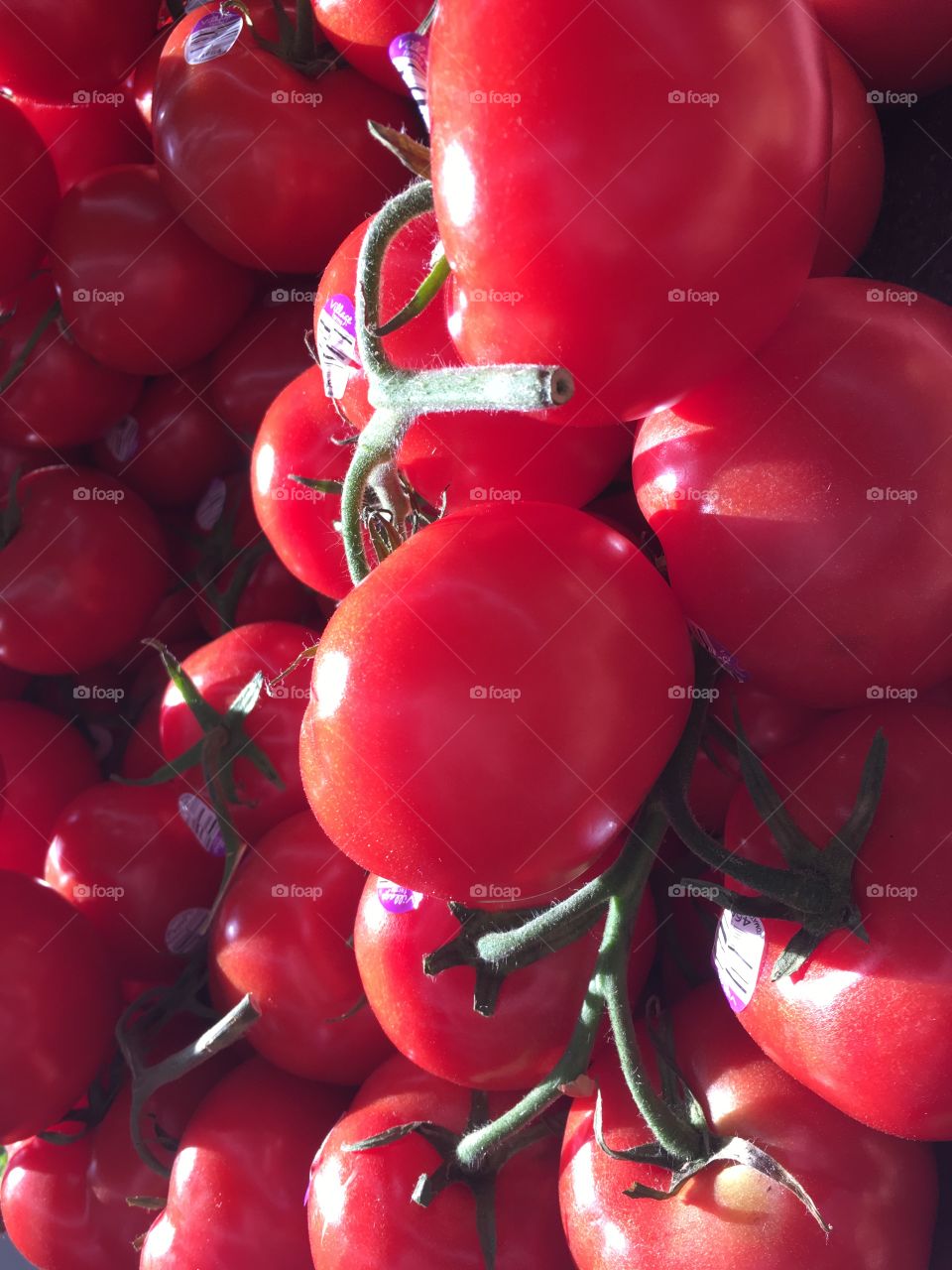 Ripe vine tomatoes 