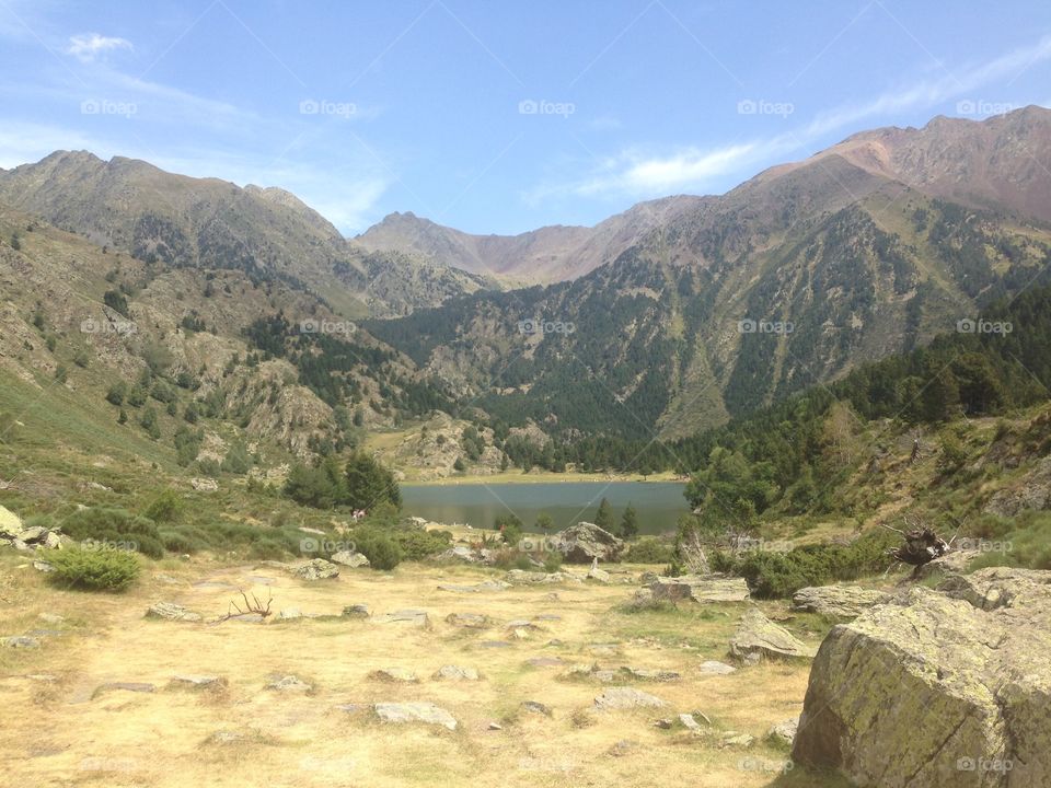Pyrenees.