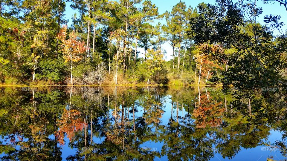 autumn reflection