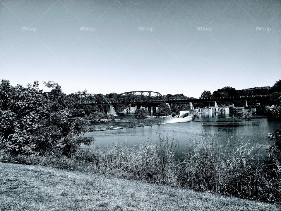 river tree bridge black & white