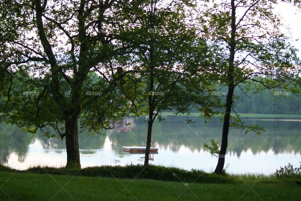 Lake. Beautiful summer lake