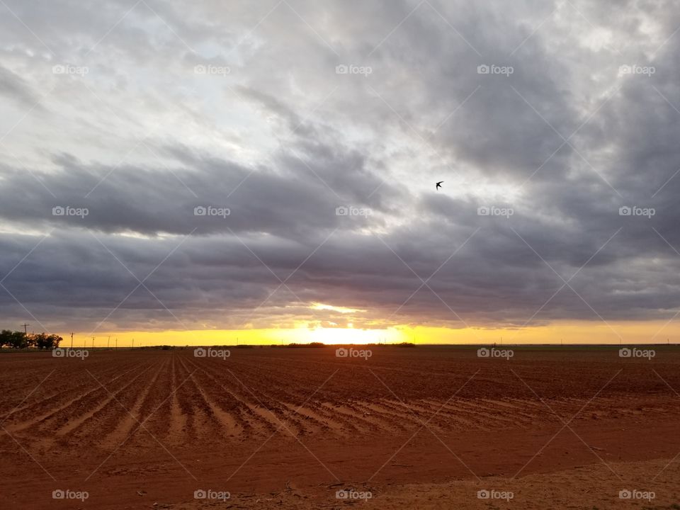 sunset in rural Texas