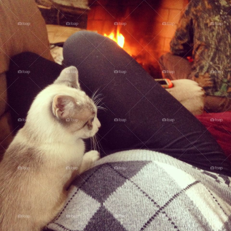 Cozy Kitten. Kitten on a pregnant mothers belly relaxing in front of a fireplace