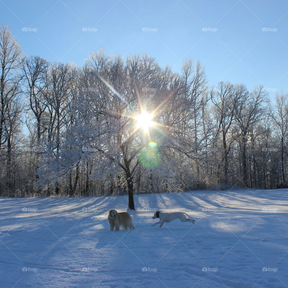 Sunday morning Shenanigans