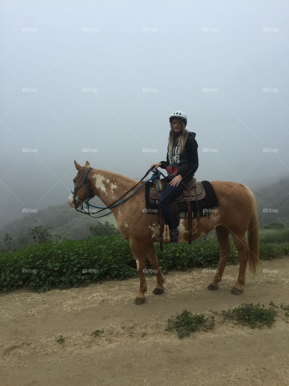Riding horses in Hollywood hills CA