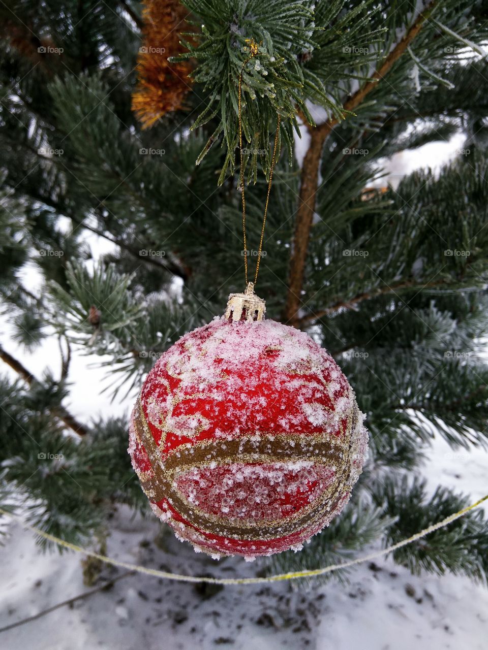 Decorations in the snow