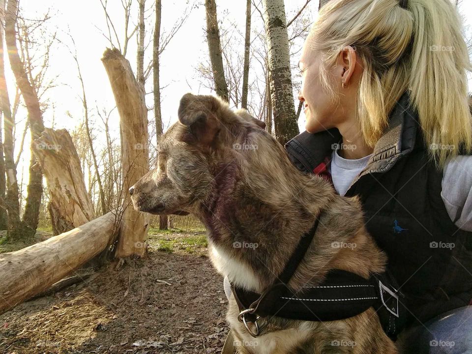 Spring walk with your dog!