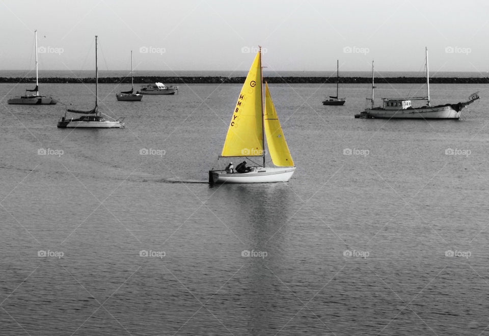 yellow boat bay sail by urbanart