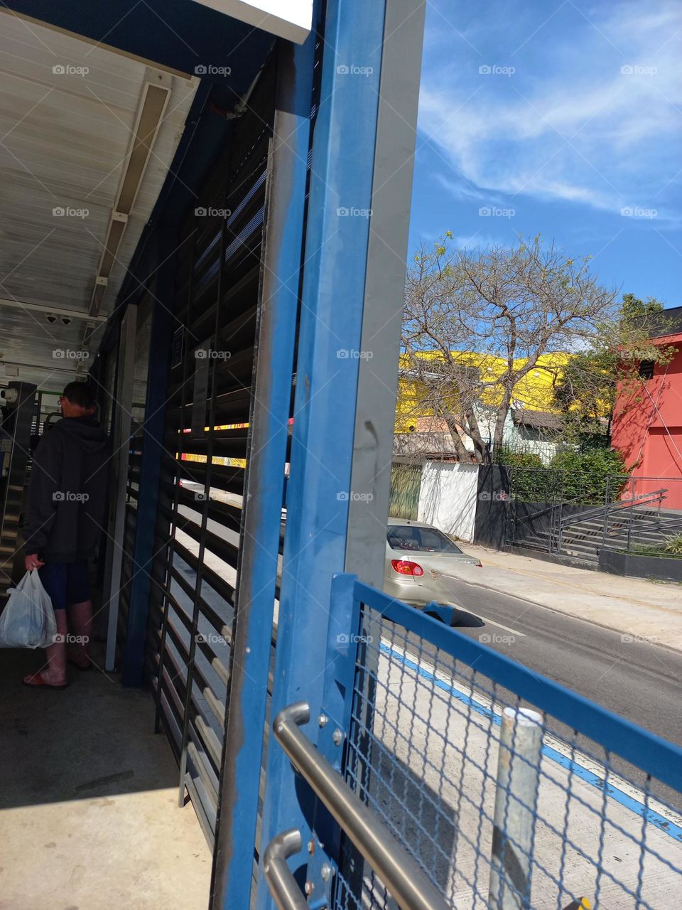 O celeste , ou azul-celeste é uma cor terciária intermediária entre o ciano e o azul. É uma tonalidade de azul claro e recebe esse nome por ter a mesma cor do Céu durante o dia.