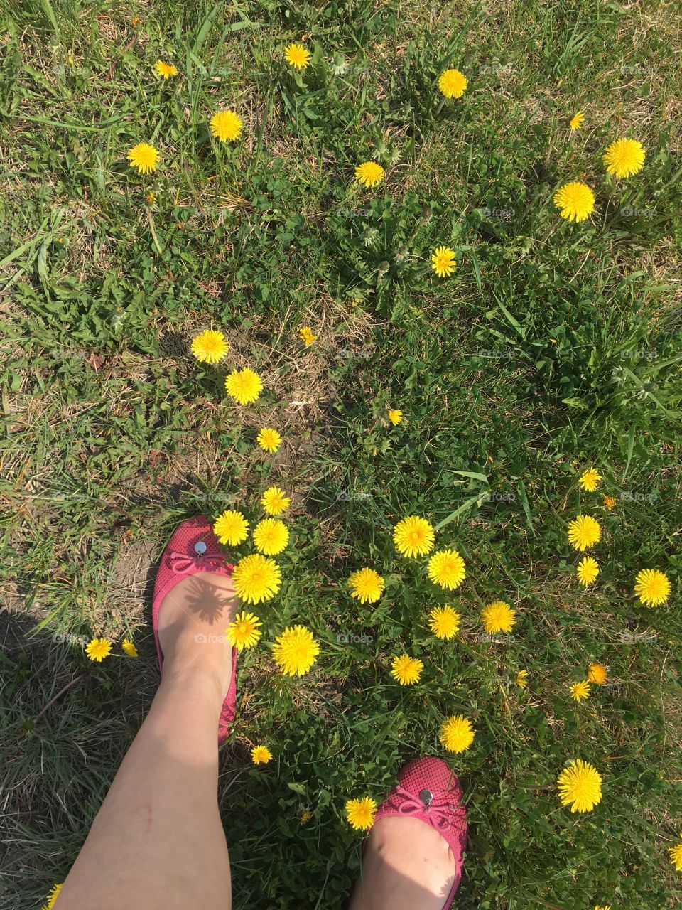 Standing in the danses