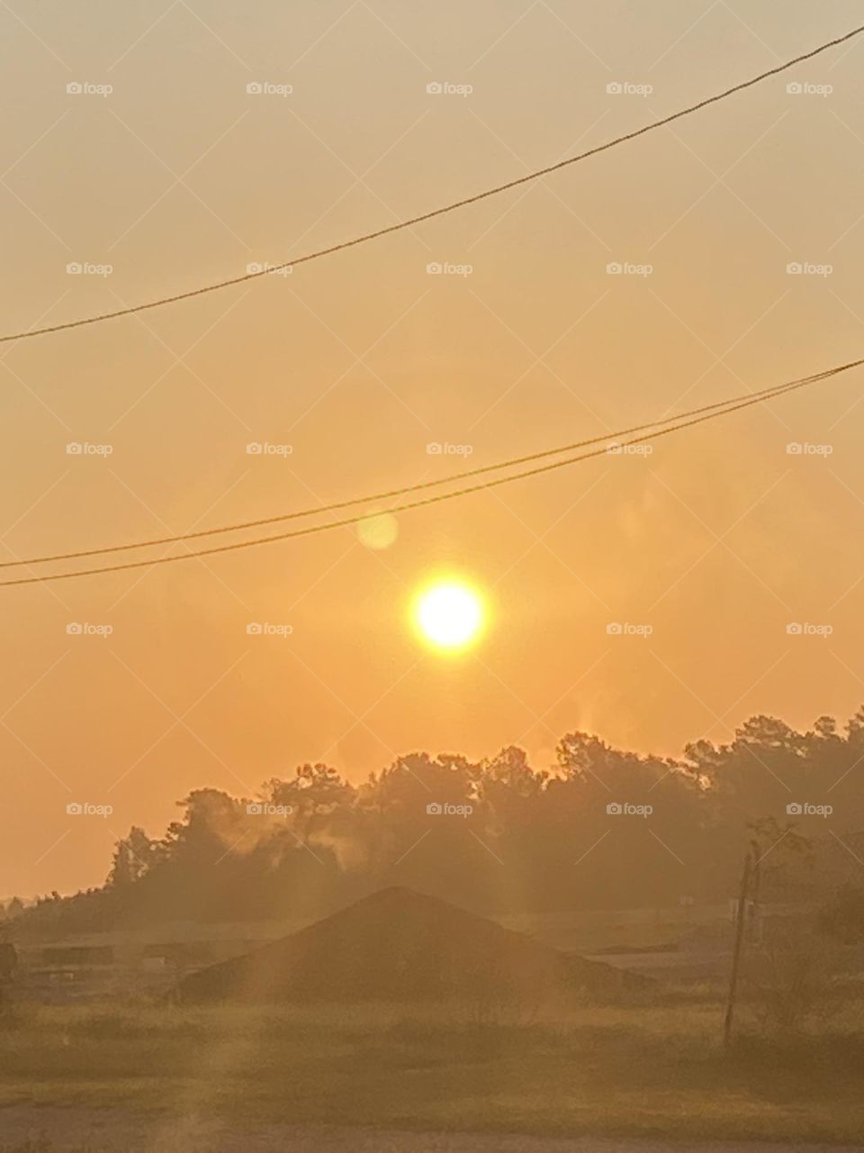 Sun