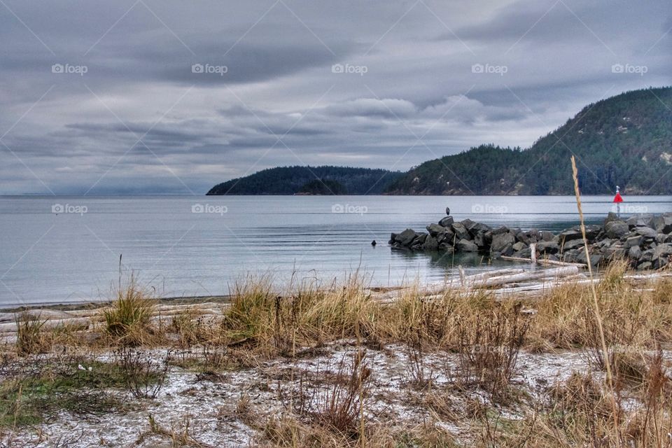 Snow on the beach with Blue Heron