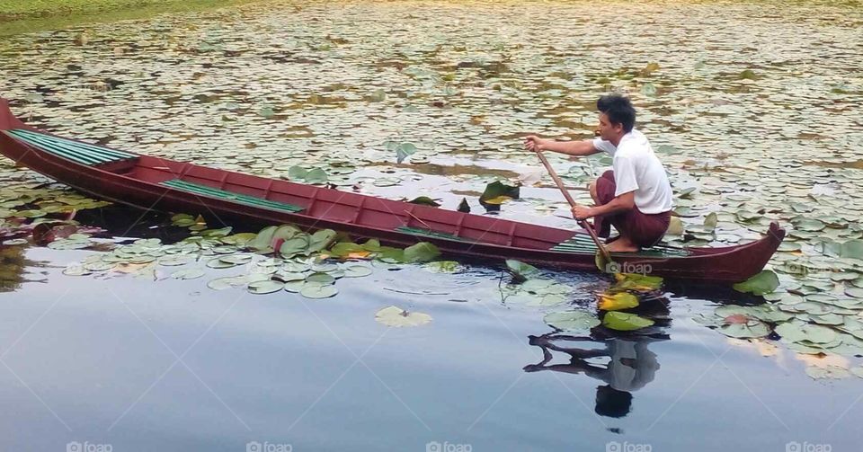 A man is rowing a boat in a pond 