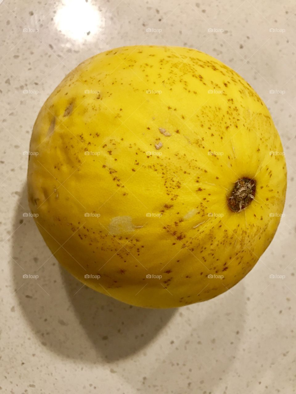 Canary melon - golden color fruit