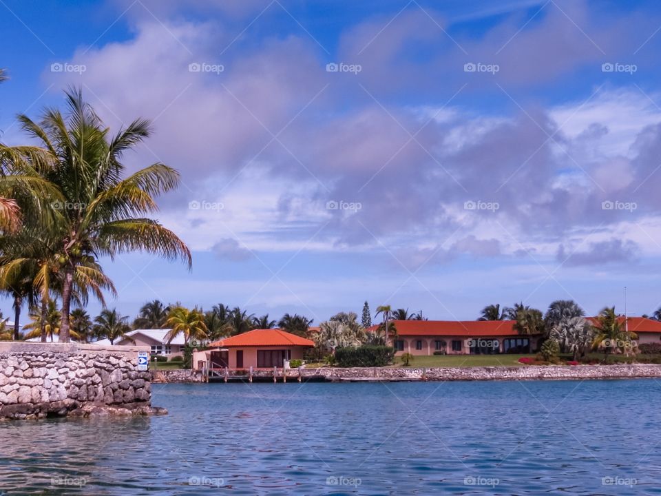 Exploring bahama life 