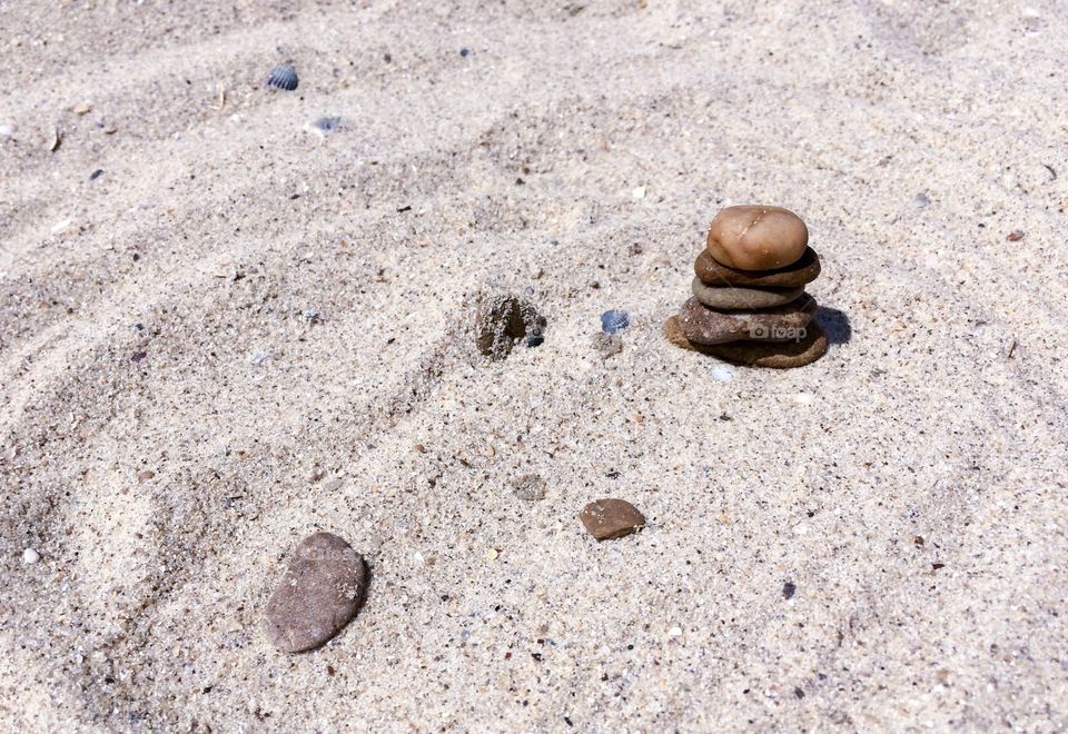 Beach with shells and stones