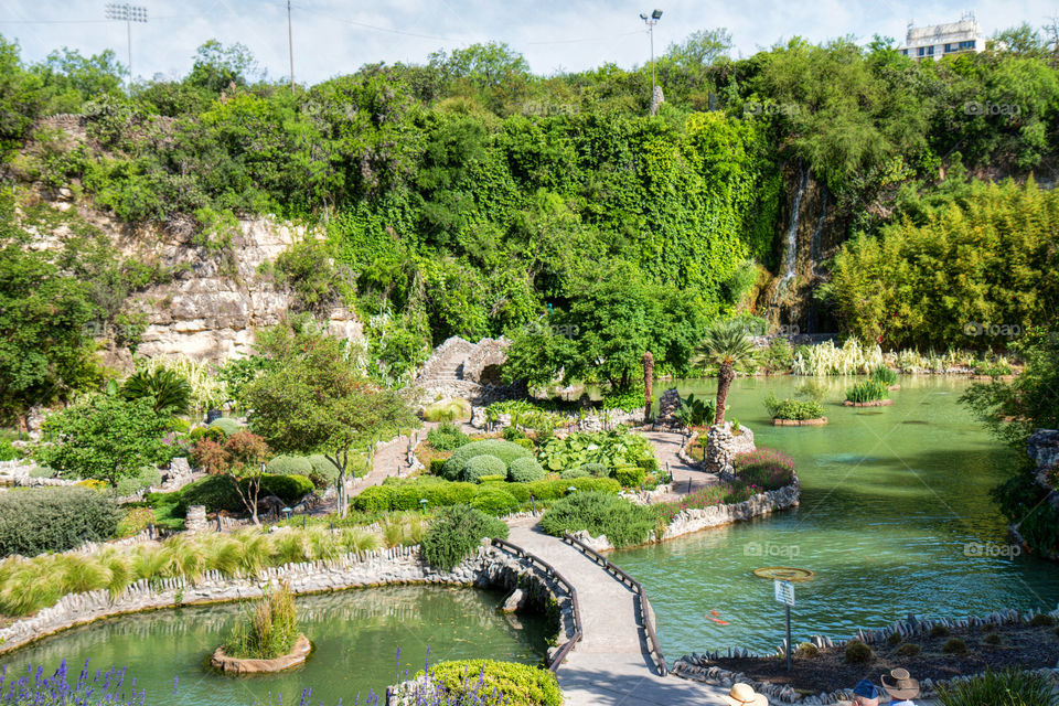 Japanese tea gardens 