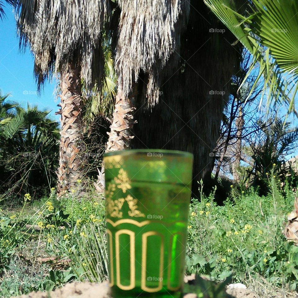 Green cup in the garden.