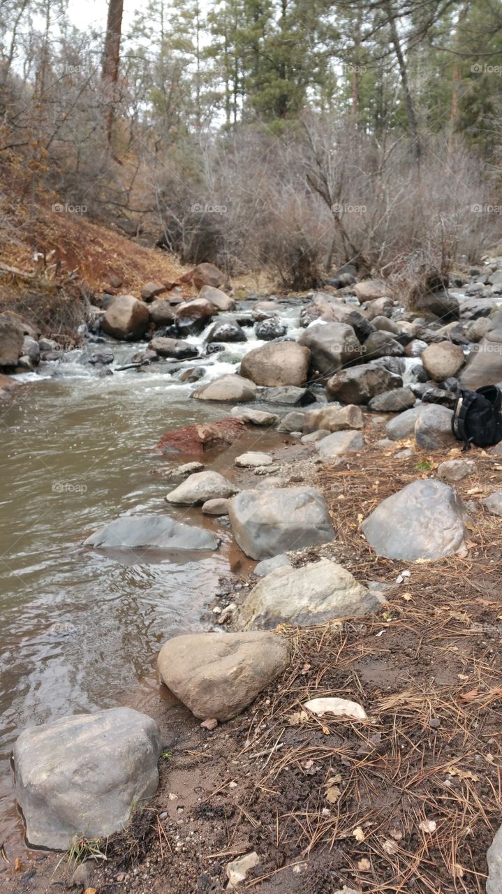 Jemez  New Mexico stream. stream fishing