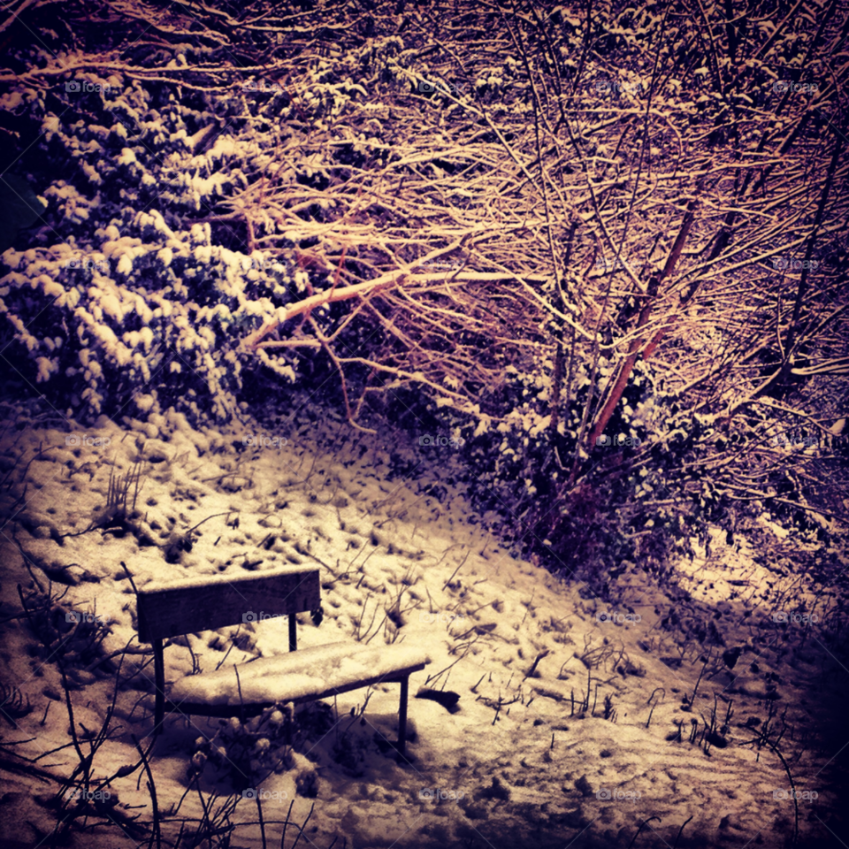 snow purple night bench by alicedebarrau
