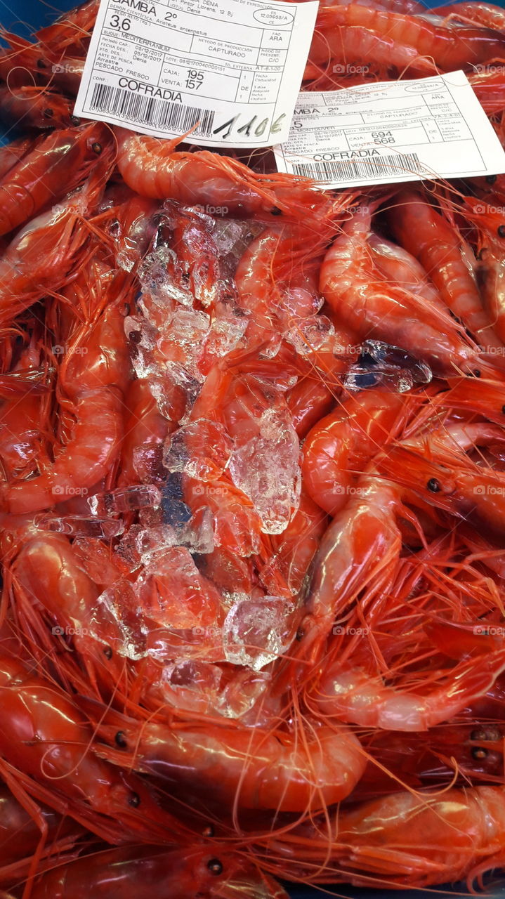 gamba roja  de Denia