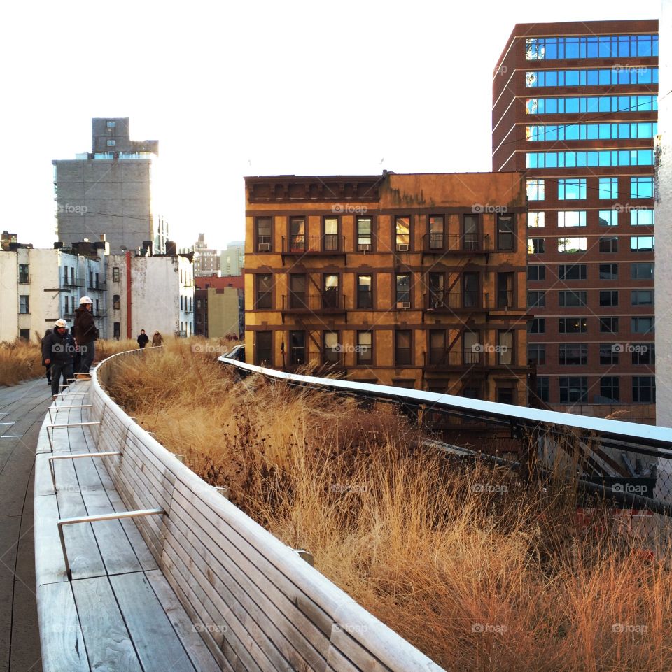The High Line-NYC 