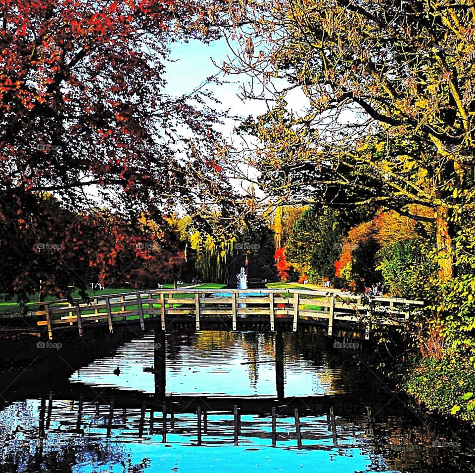 this is a park in Enkhuizen, the Netherland, beautifull trees....a bridge and water, fall is coming!🍁🍁🍁