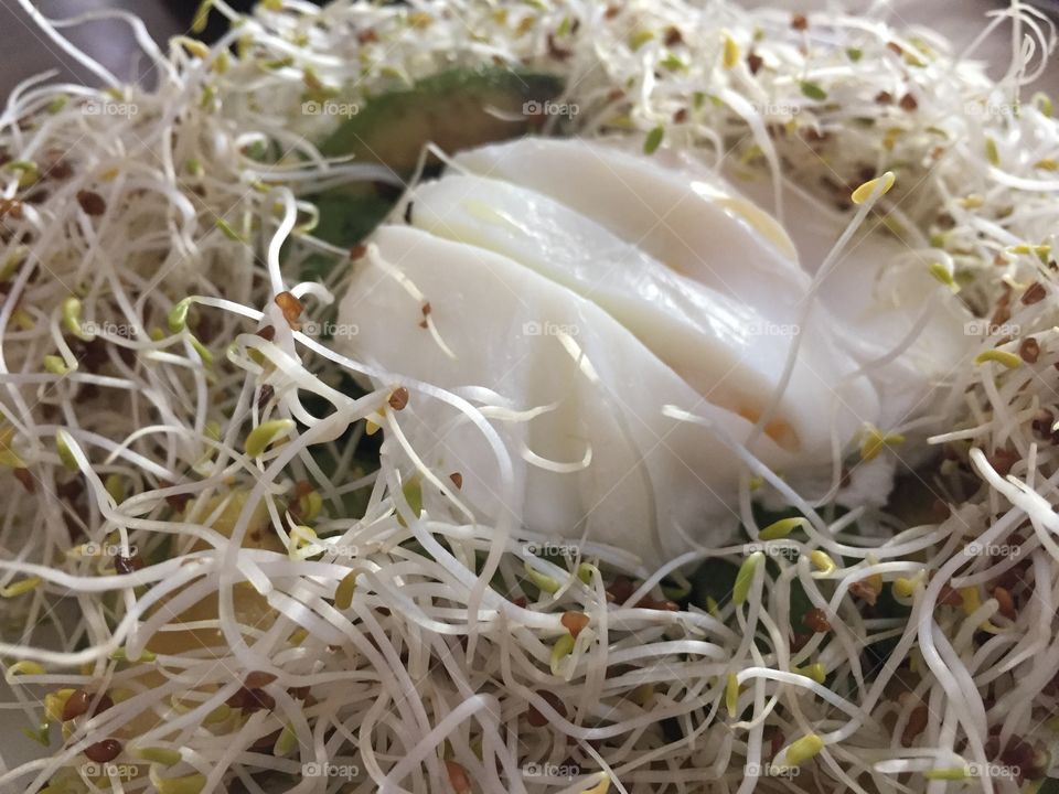 Poached egg in a nest
