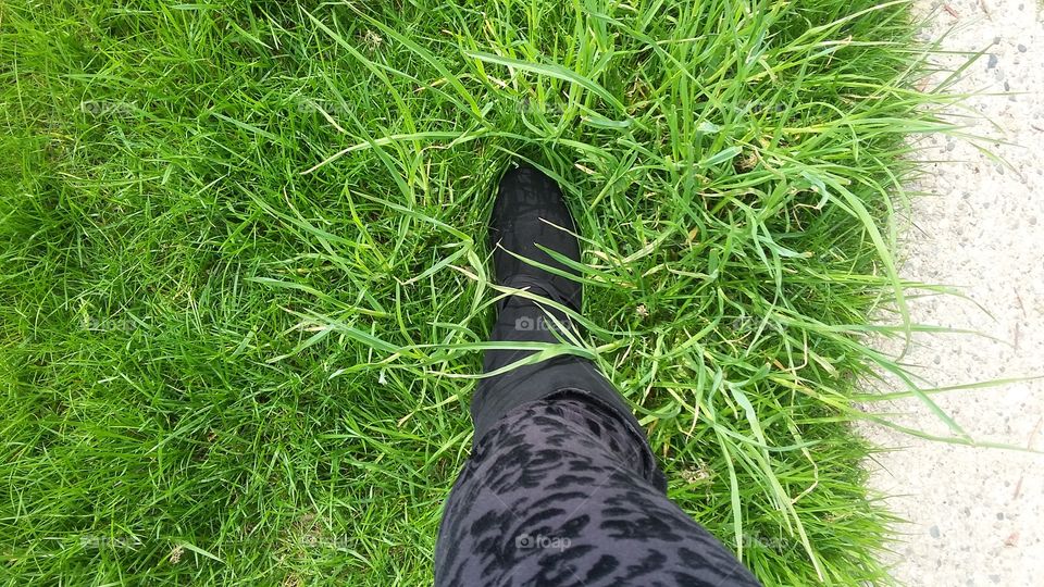foot in long grass