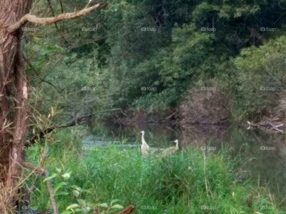 Driving the Back Roads and enjoying everything around us