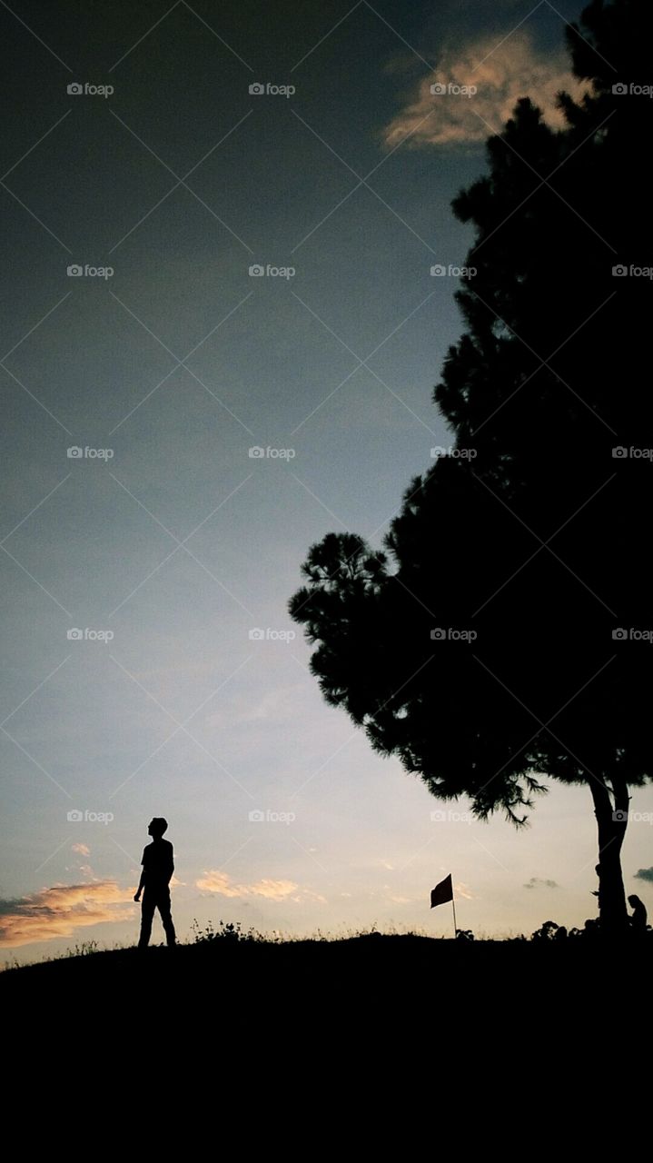 Man standing pine forest