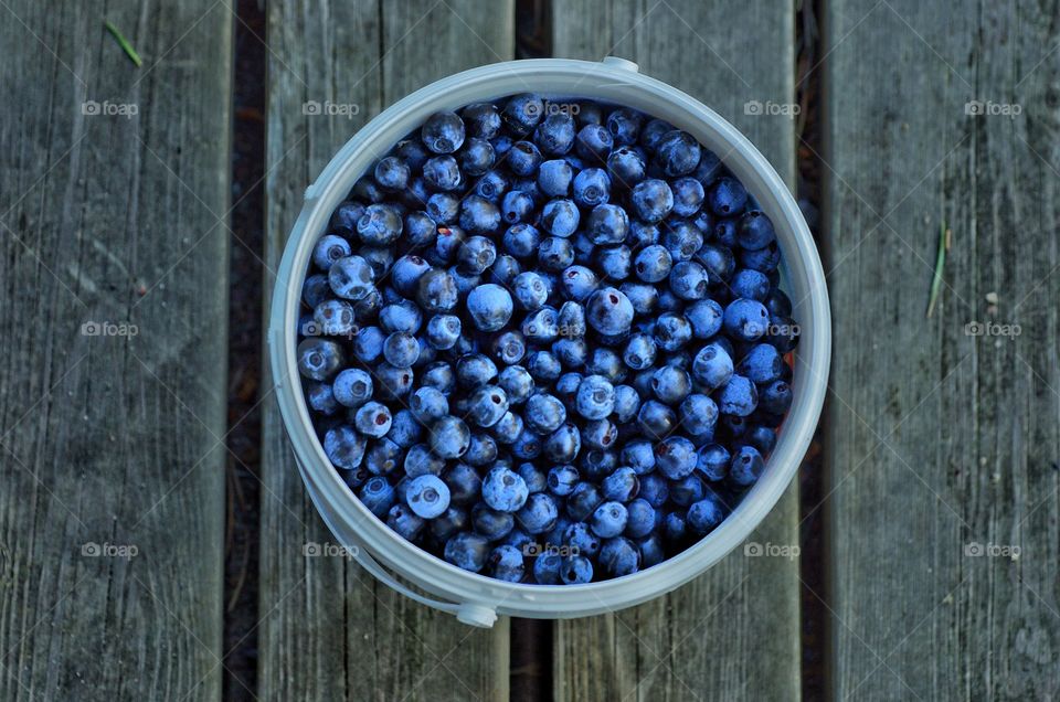 Blueberries on bowl