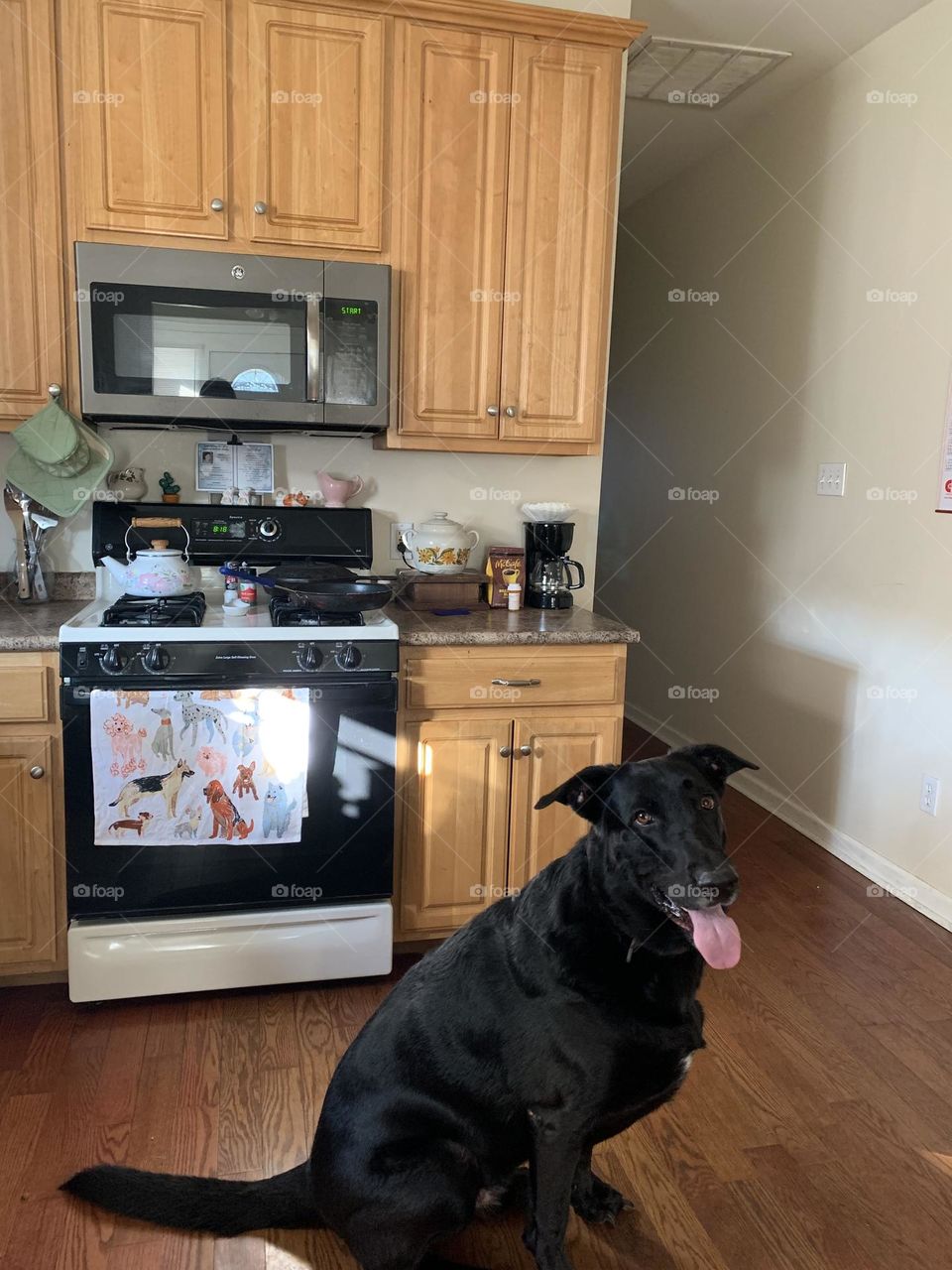 Our little kitchen with our big boy!