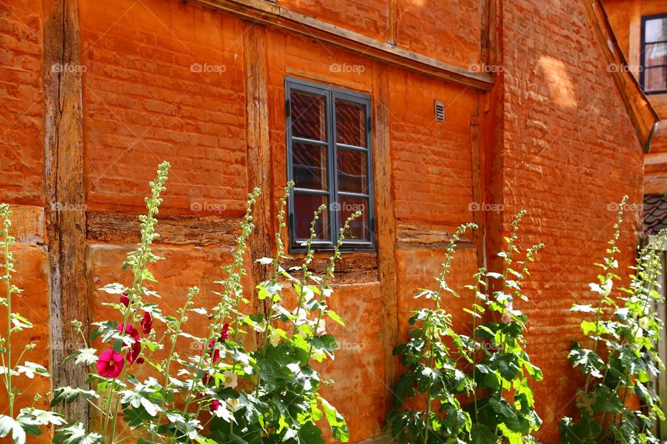 Orange beautiful house 