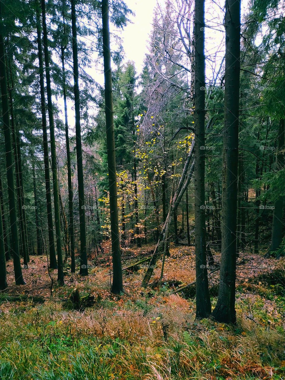 support during toughest times