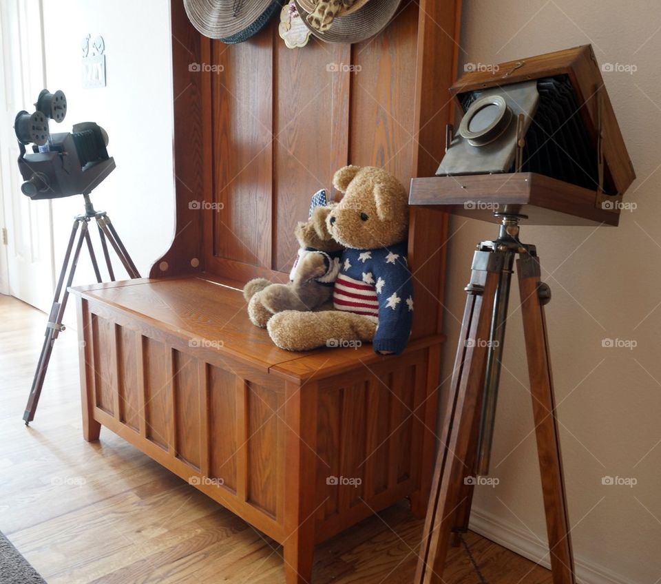 Teddy bear photo shoot