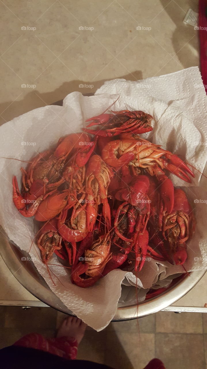 Crawfish
