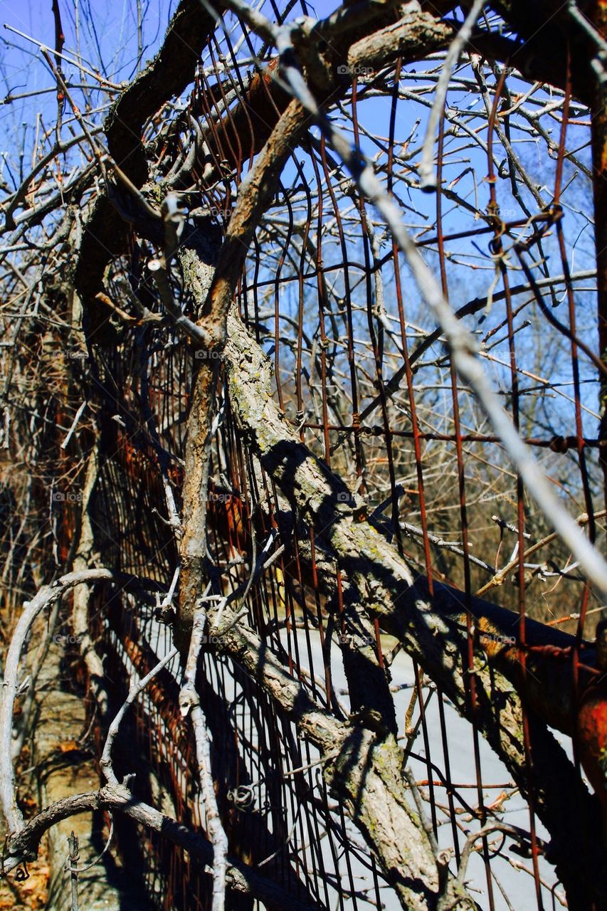 An Entangled Fence