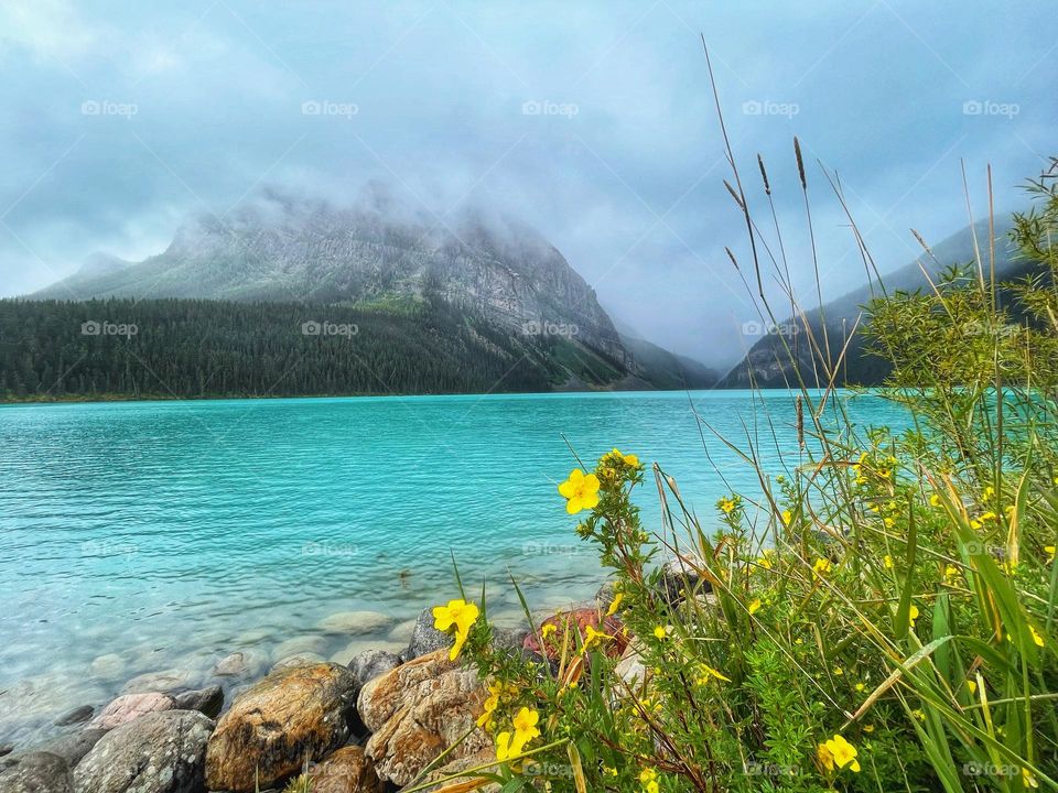 Lake Louise 