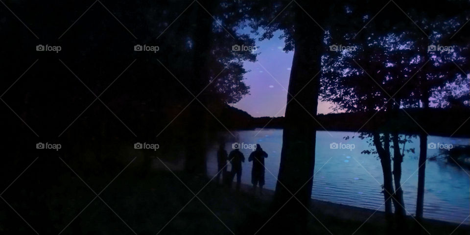 A group of people stargaze in the woods overlooking a body of water at night.