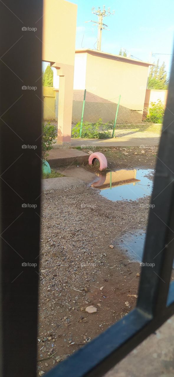 nice weather with shadow in water