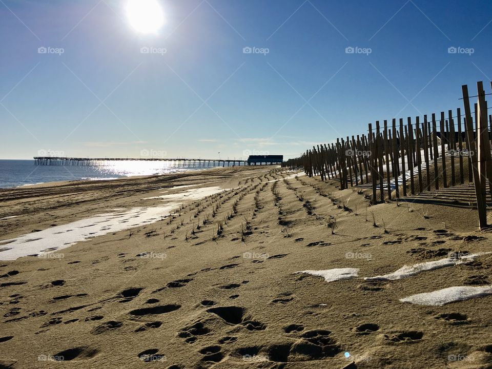 Sea dunes with fencing and sea oats planted near the pier