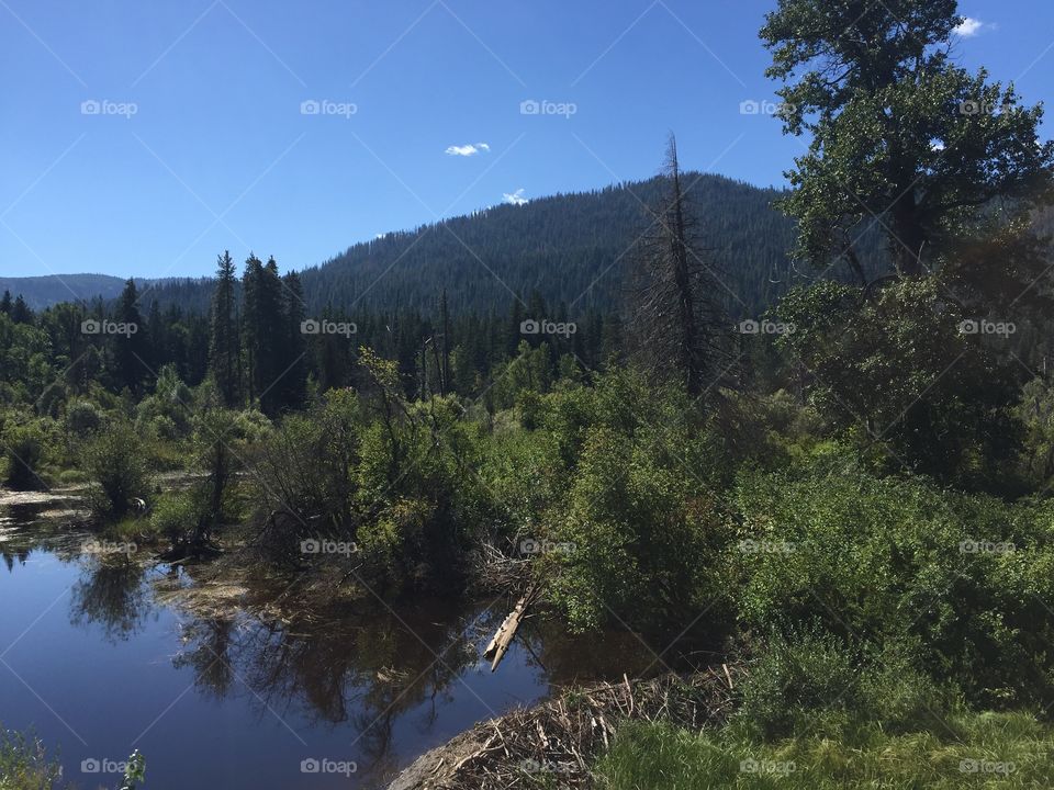 No Person, Tree, Landscape, Water, Nature