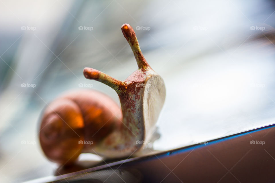 Close-up of artificial snail