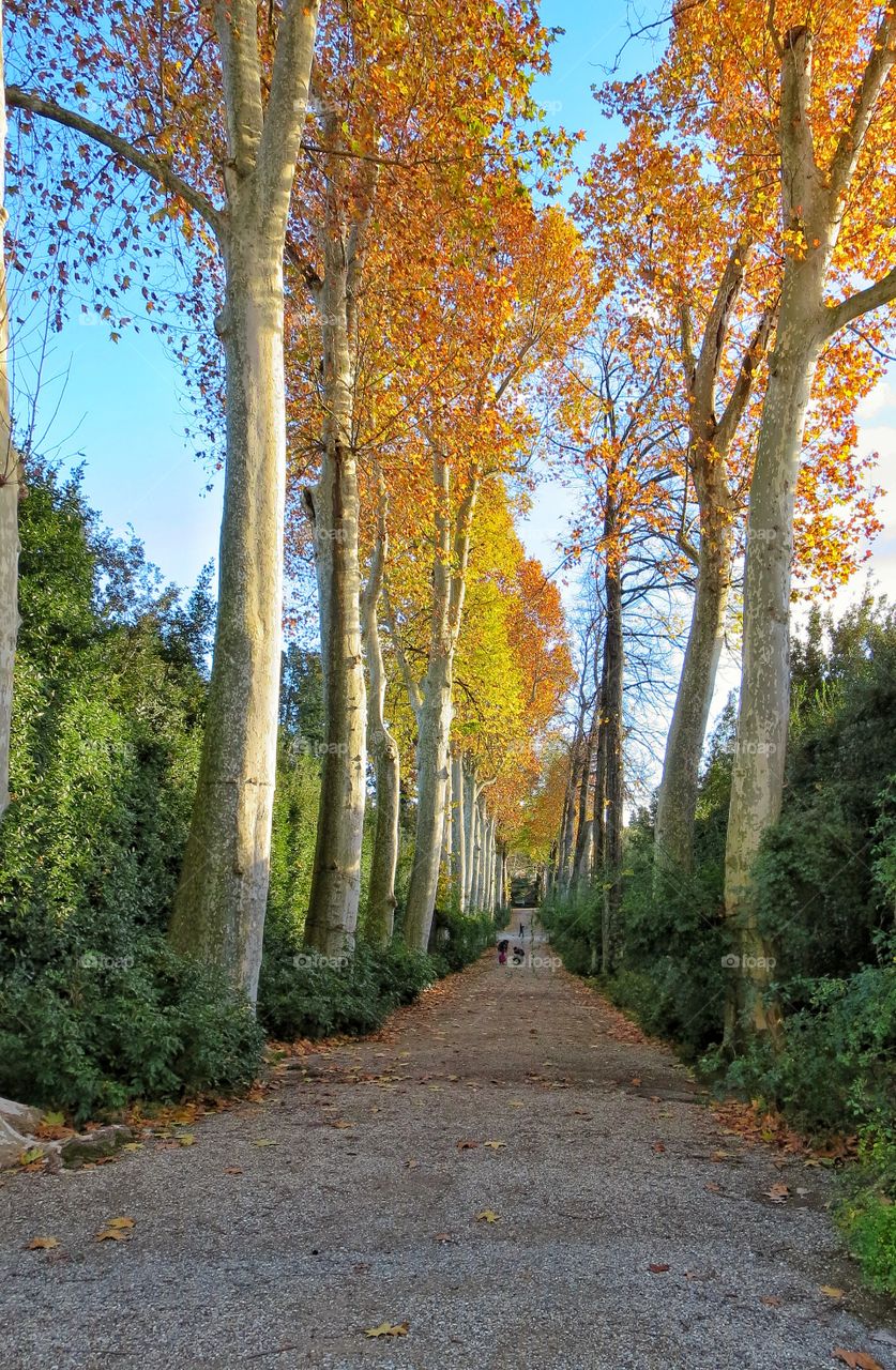 Florence Italy garden