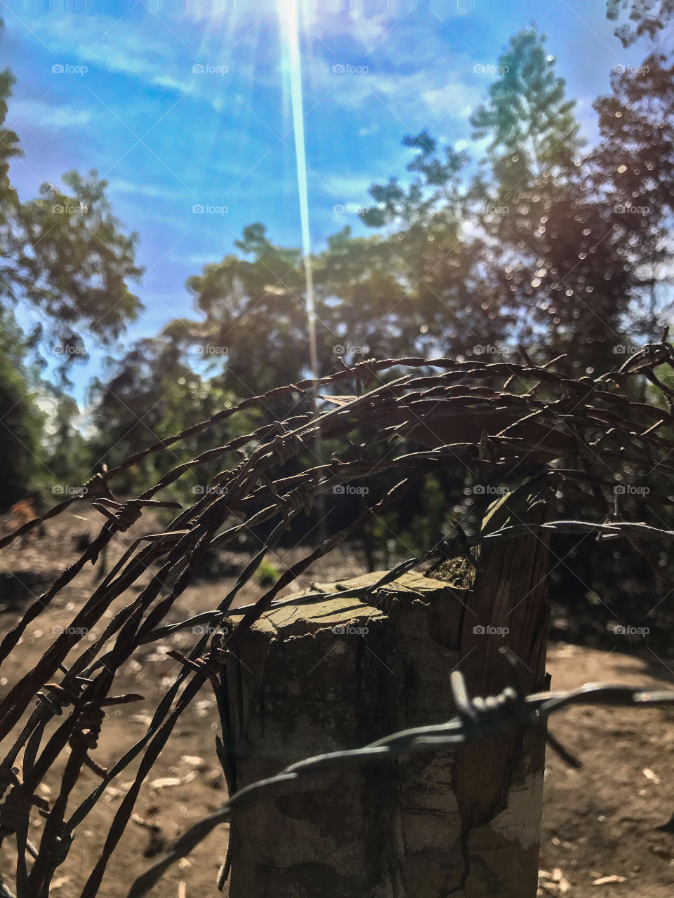 detail of the wire hanging on the fence, here it is my friends