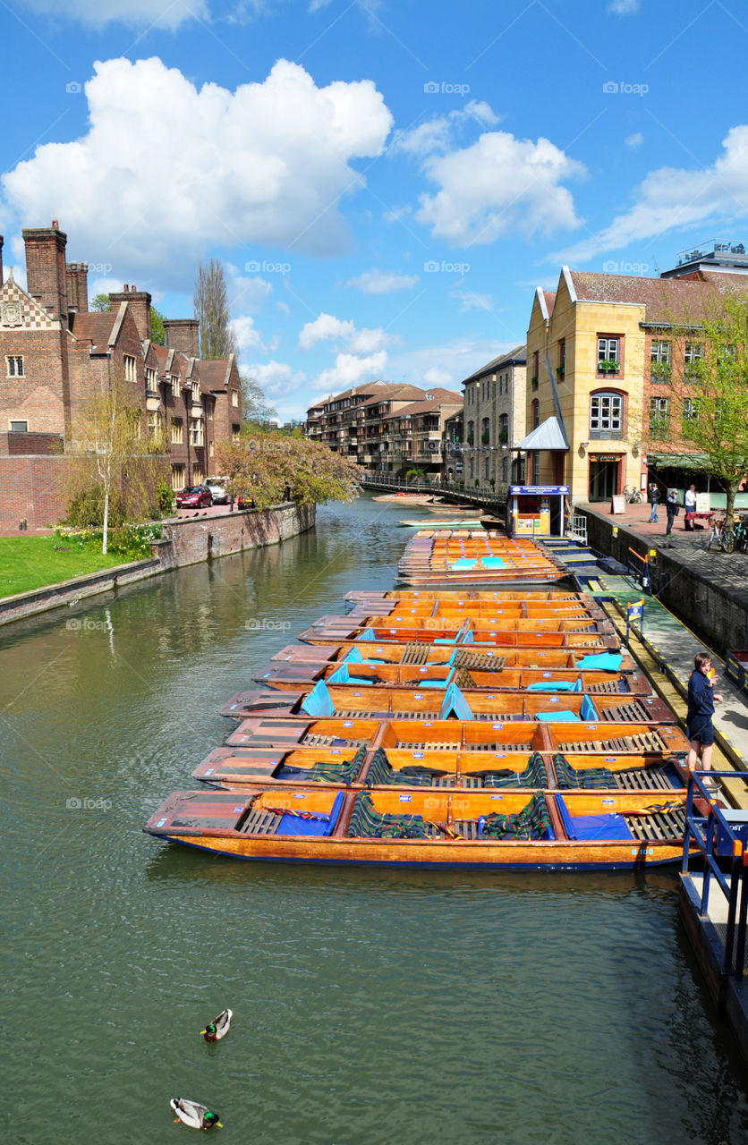 Cambridge river view