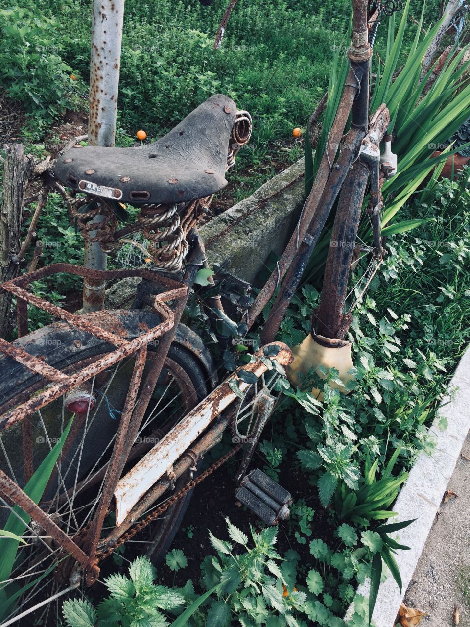 Old bicycle.