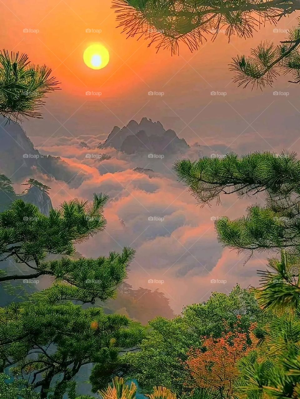 A very beautiful picture, and there is no better picture than it. There is no better picture of green herbs and colorful, red and white roses than it. Glory be to God, the natural and picturesque view, and there is no more