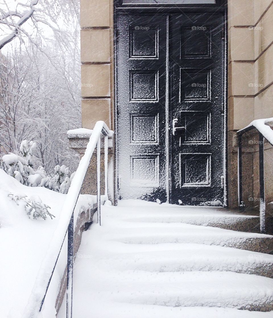 snow at Yale